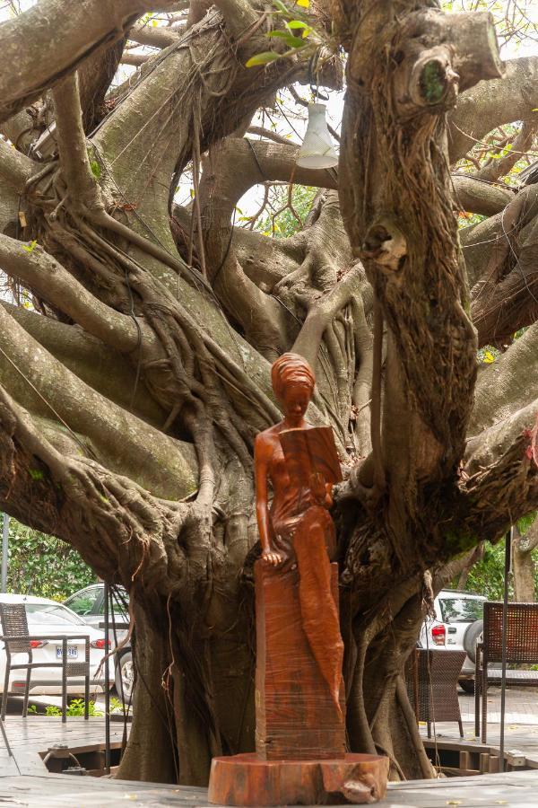 Studio Hotel Boutique San José Extérieur photo The Banyan Tree